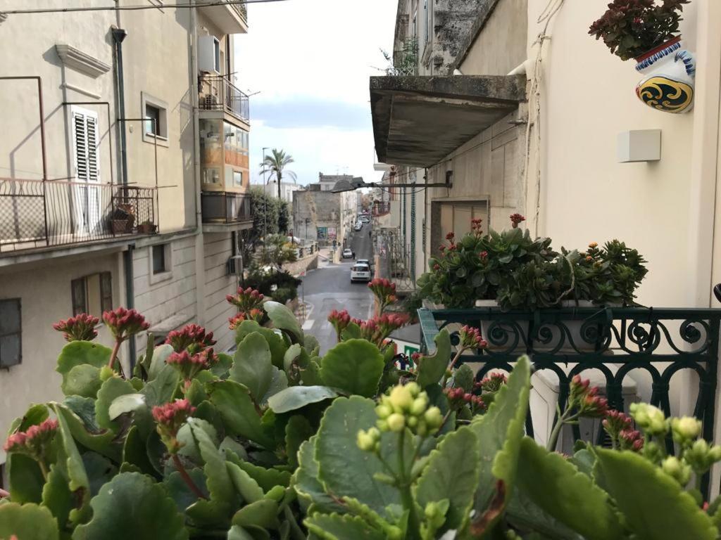 B&B Casa Elisabetta 지노사 외부 사진